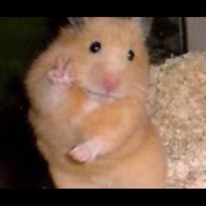 Meet your Posher, Bianca